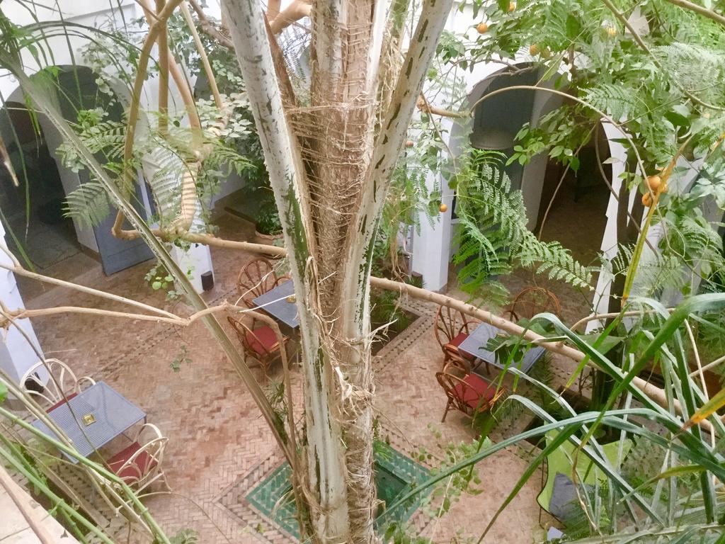 מלון מרקש Dar Binebine מראה חיצוני תמונה